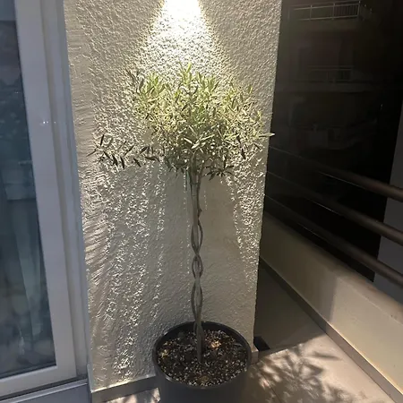 Appartement Almare Boutique *