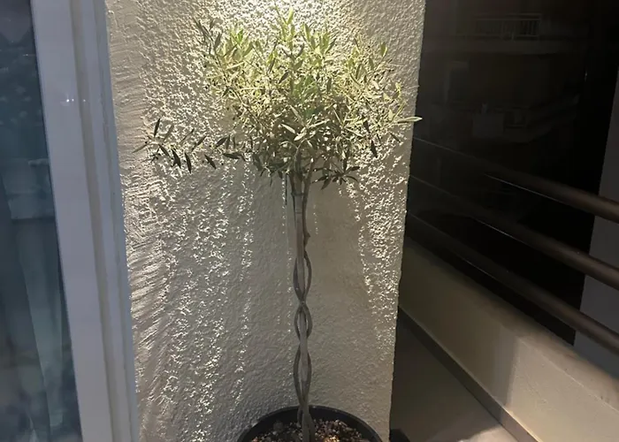 Appartement Peraiarooms *
